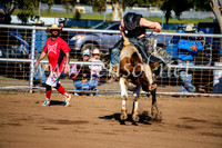 CoonambleRodeoCampdraftMon_6347