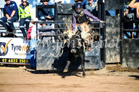 CoonambleRodeoCampdraftMon_6312