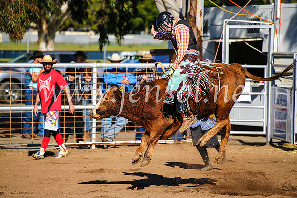 CoonambleRodeoCampdraftMon_6534