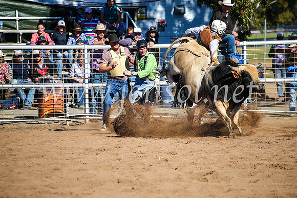 CoonambleRodeoCampdraftMon_7523
