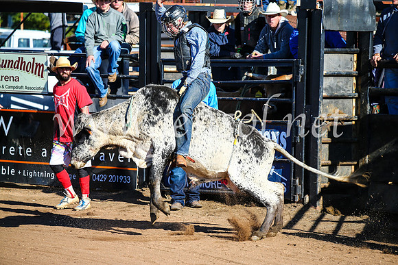 CoonambleRodeoCampdraftMon_6366
