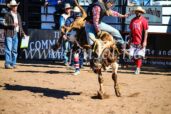 CoonambleRodeoCampdraftMon_7131