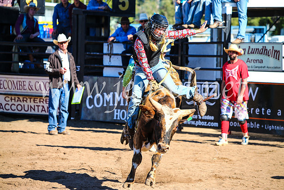 CoonambleRodeoCampdraftMon_7128