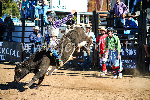 CoonambleRodeoCampdraftMon_7158