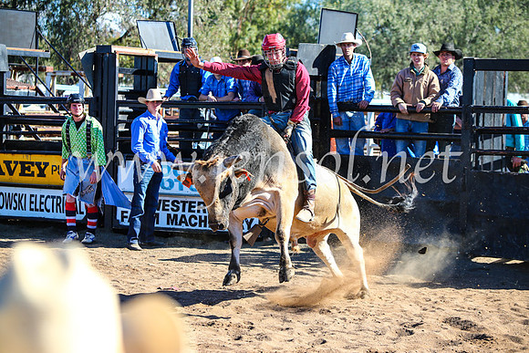 CoonambleRodeoCampdraftMon_7816