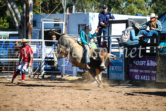 CoonambleRodeoCampdraftMon_7875