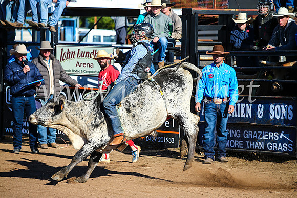 CoonambleRodeoCampdraftMon_6375