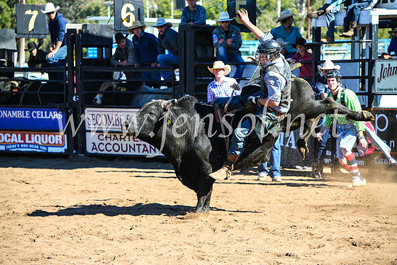 CoonambleRodeoCampdraftMon_7408