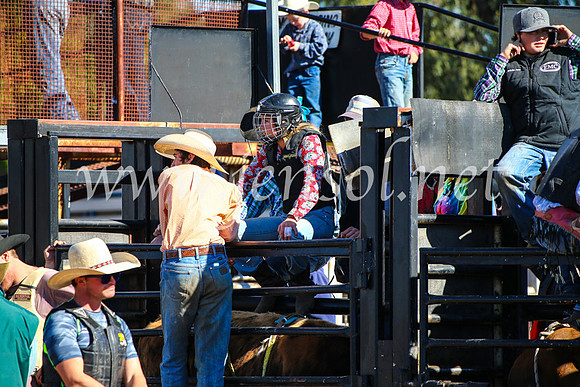 CoonambleRodeoCampdraftMon_7122
