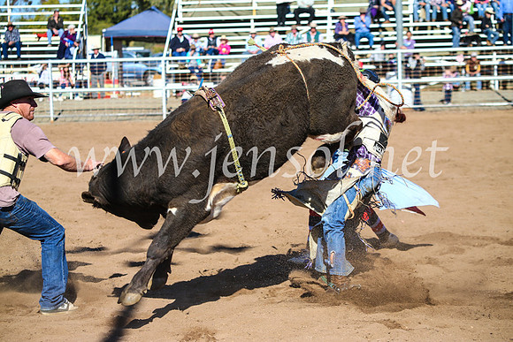 CoonambleRodeoCampdraftMon_7219