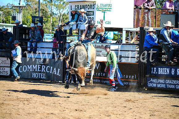 CoonambleRodeoCampdraftMon_7428