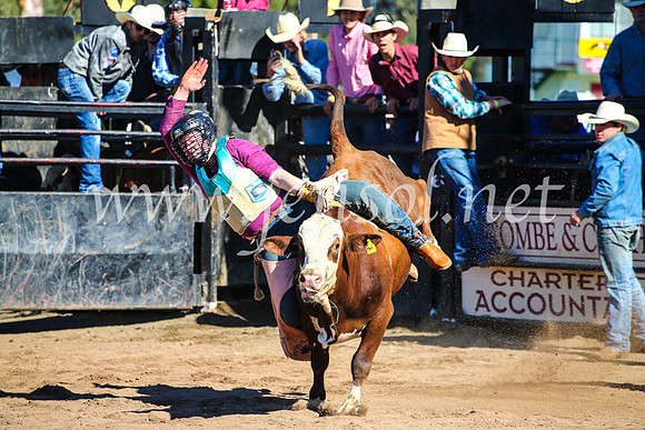 CoonambleRodeoCampdraftMon_7045