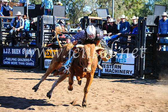 CoonambleRodeoCampdraftMon_7466