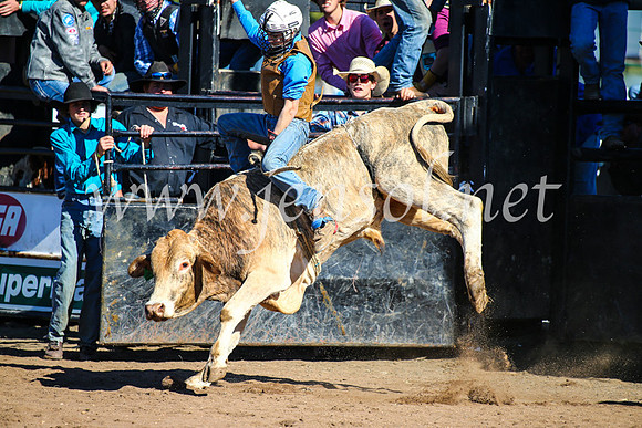 CoonambleRodeoCampdraftMon_6982