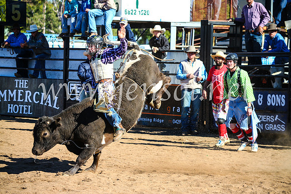CoonambleRodeoCampdraftMon_7155