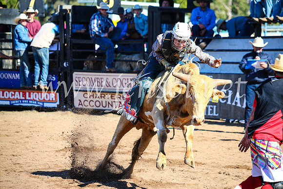 CoonambleRodeoCampdraftMon_6957