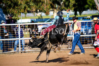 CoonambleRodeoCampdraftMon_6275