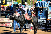 CoonambleRodeoCampdraftMon_6351