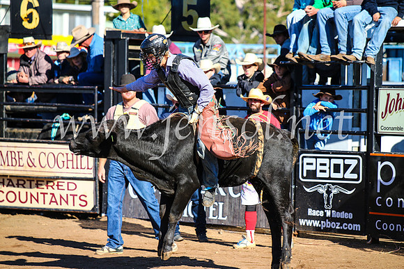 CoonambleRodeoCampdraftMon_6351