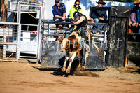 CoonambleRodeoCampdraftMon_6331