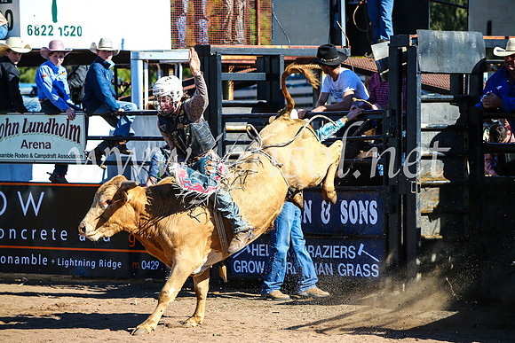 CoonambleRodeoCampdraftMon_6934
