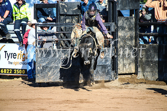CoonambleRodeoCampdraftMon_6311