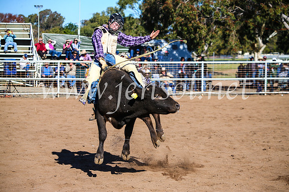 CoonambleRodeoCampdraftMon_7179