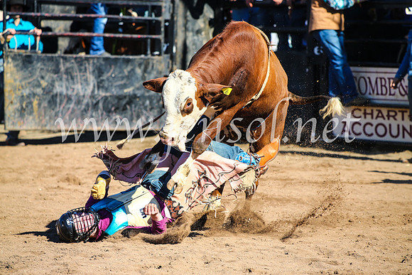 CoonambleRodeoCampdraftMon_7065