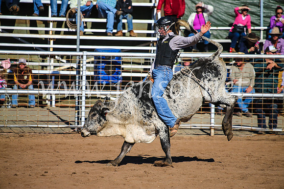 CoonambleRodeoCampdraftMon_7343