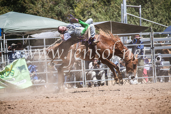 TaralgaRodeoSun2017_2831