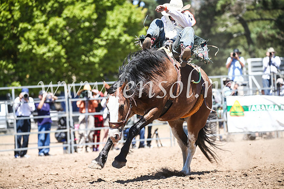 TaralgaRodeoSun2017_2896