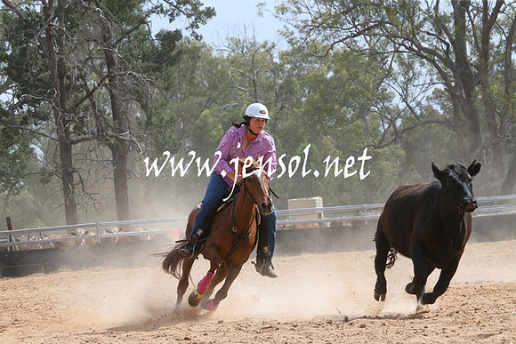 TubbulCampdraft2014_0121