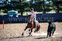 GoulburnCampdraft2017_4126