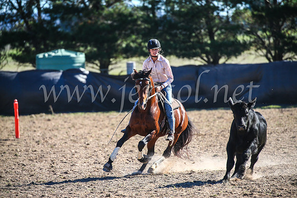 GoulburnCampdraft2017_4126