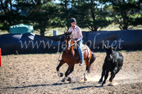 GoulburnCampdraft2017_4125