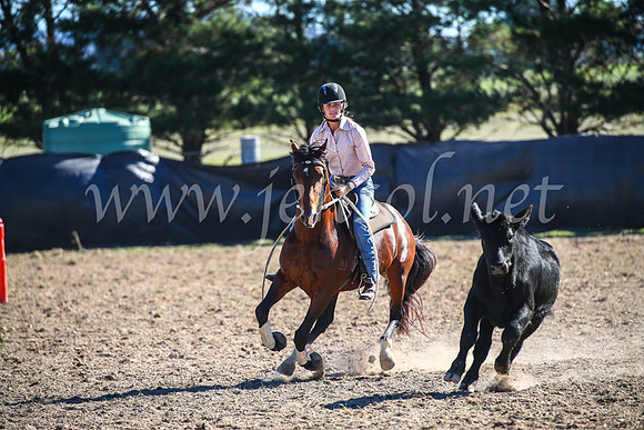 GoulburnCampdraft2017_4125