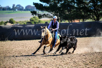GoulburnCampdraft2017_4114