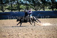 GoulburnCampdraft2017_4133