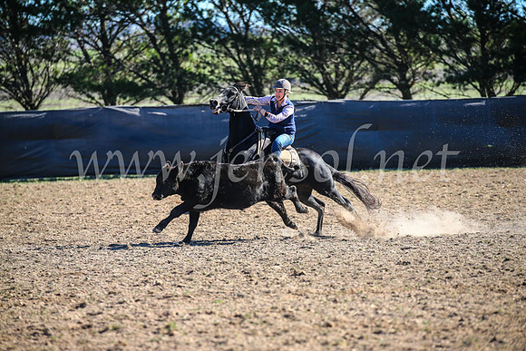GoulburnCampdraft2017_4133