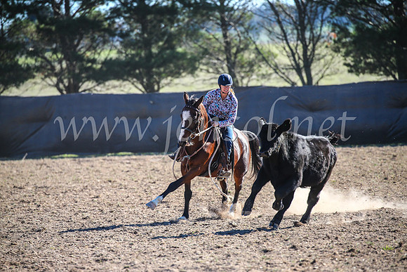 GoulburnCampdraft2017_4225