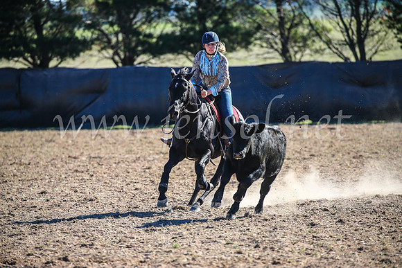 GoulburnCampdraft2017_4153