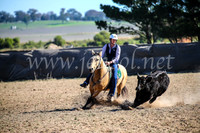 GoulburnCampdraft2017_4115