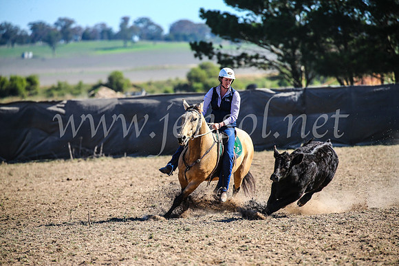 GoulburnCampdraft2017_4115
