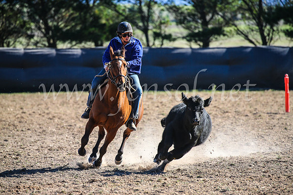 GoulburnCampdraft2017_4093