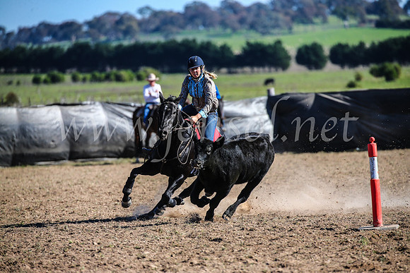 GoulburnCampdraft2017_4173