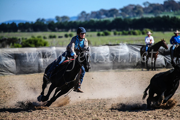 GoulburnCampdraft2017_4176