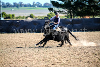 GoulburnCampdraft2017_4147