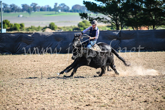 GoulburnCampdraft2017_4147