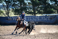 GoulburnCampdraft2017_4119