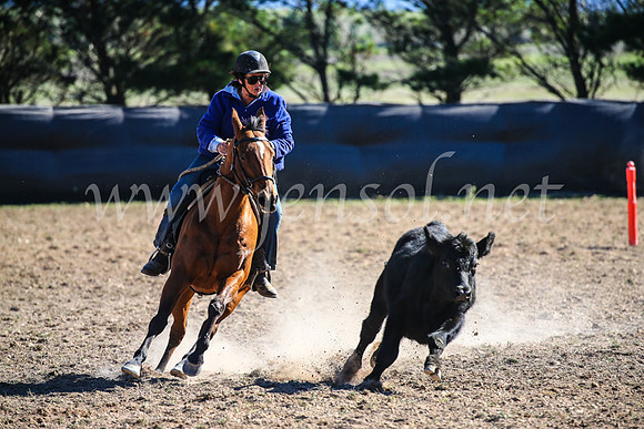 GoulburnCampdraft2017_4094